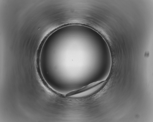 X0000090870991200708101330