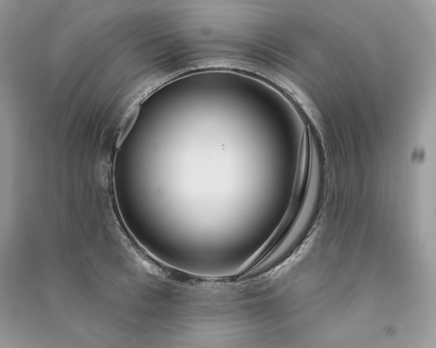 X0000090870993200708101330