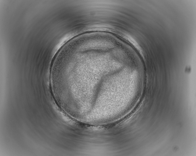 X0000090870994200708101330