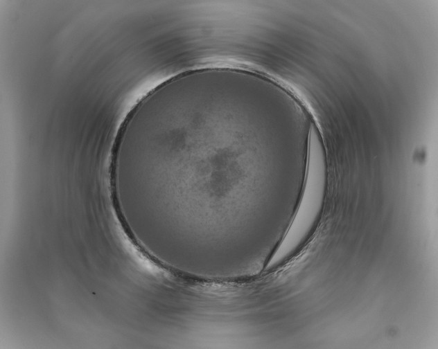 X0000090870995200708101330