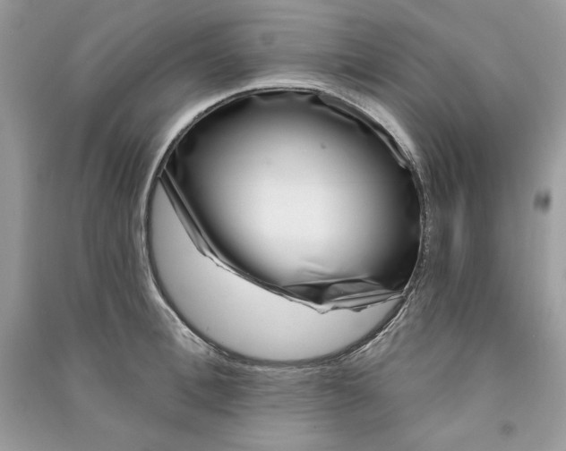 X0000090870996200708101330