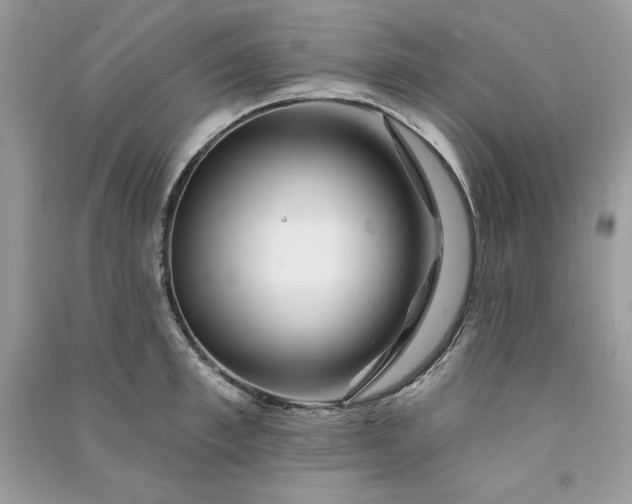 X0000090870997200708101330