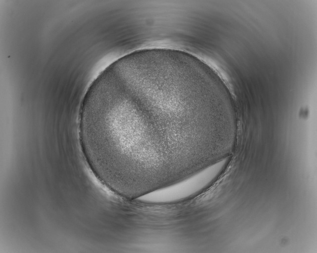 X0000090870998200708101330