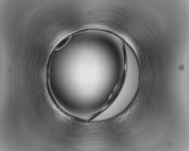 X0000090870999200708101330