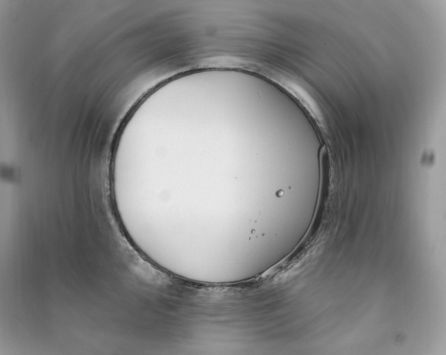 X0000090871000200708101330