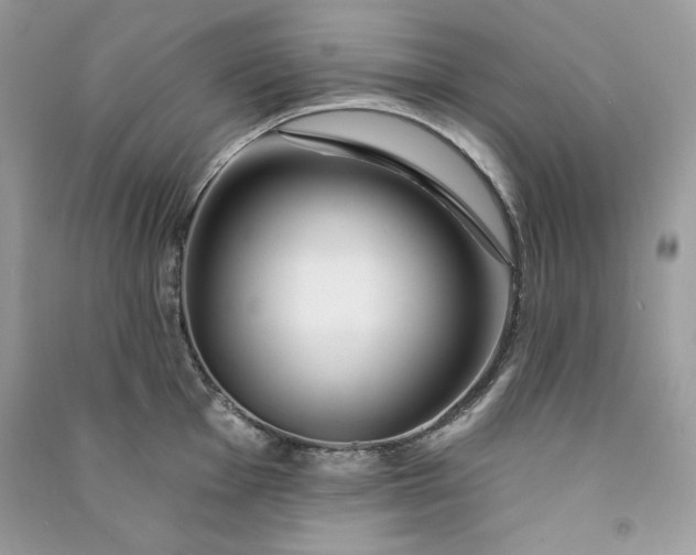 X0000090871001200708101330