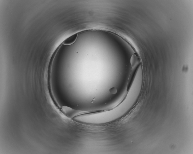 X0000090871007200708101330