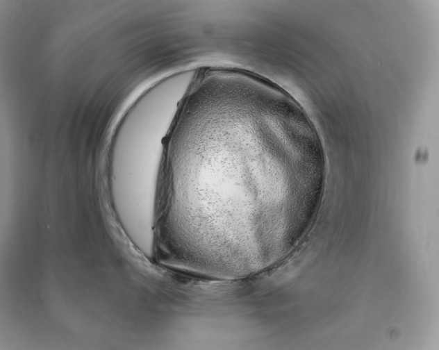 X0000090871008200708101330