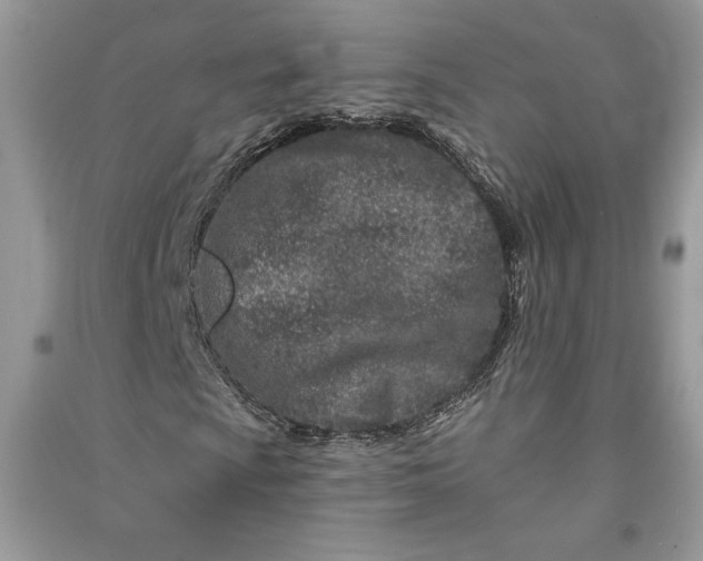 X0000090871009200708101329