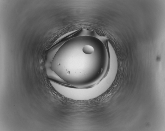 X0000090871010200708101329