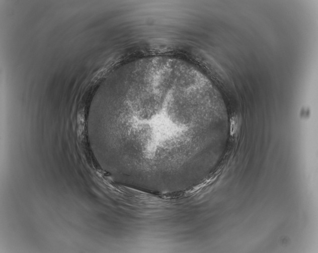 X0000090871011200708101329