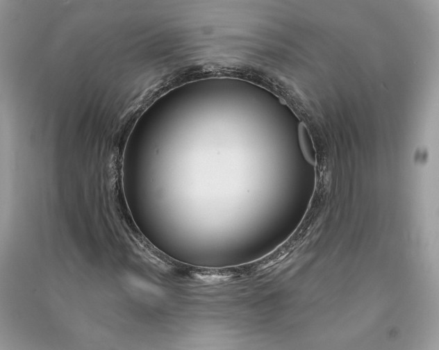 X0000090871012200708101329