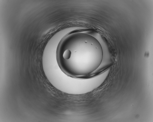 X0000090871014200708101329