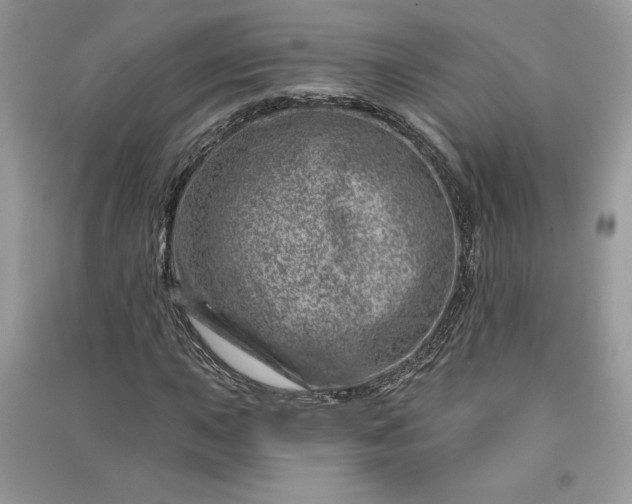 X0000090871015200708101329