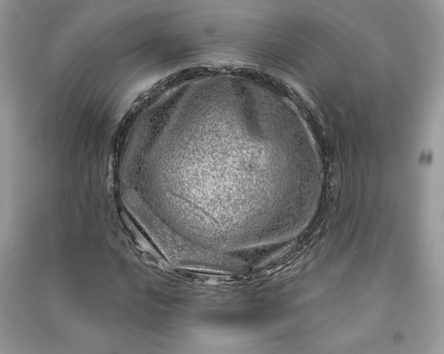 X0000090871016200708101329