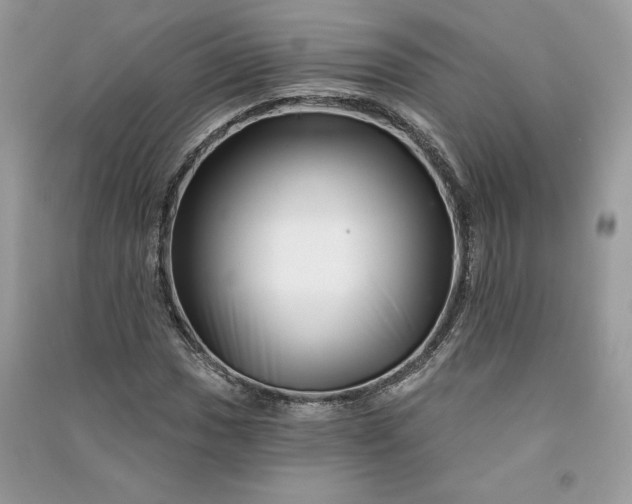 X0000090871017200708101329