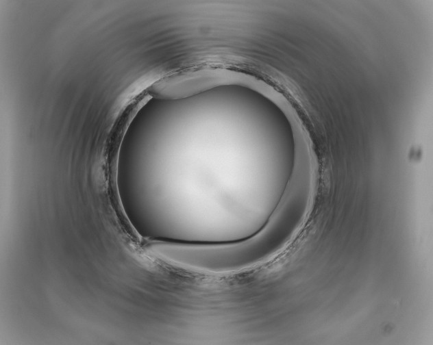 X0000090871018200708101329