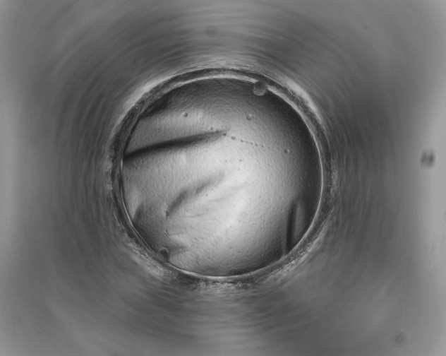 X0000090871019200708101329