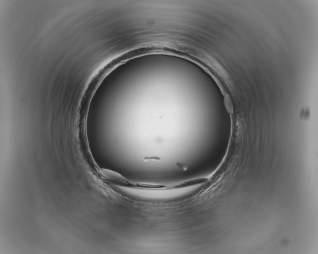 X0000090871020200708101329