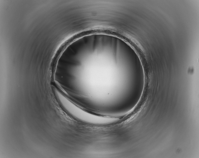 X0000090871021200708101329