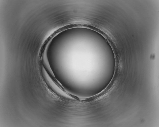 X0000090871022200708101329