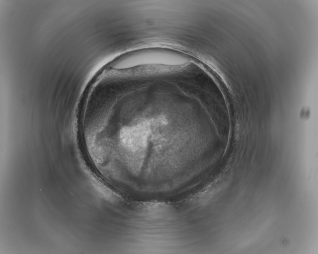 X0000090871024200708101329