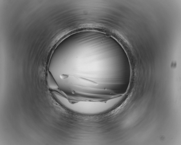 X0000090871025200708101329