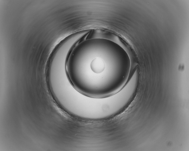 X0000090871026200708101329