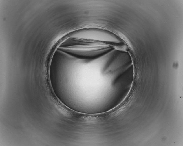 X0000090871027200708101329