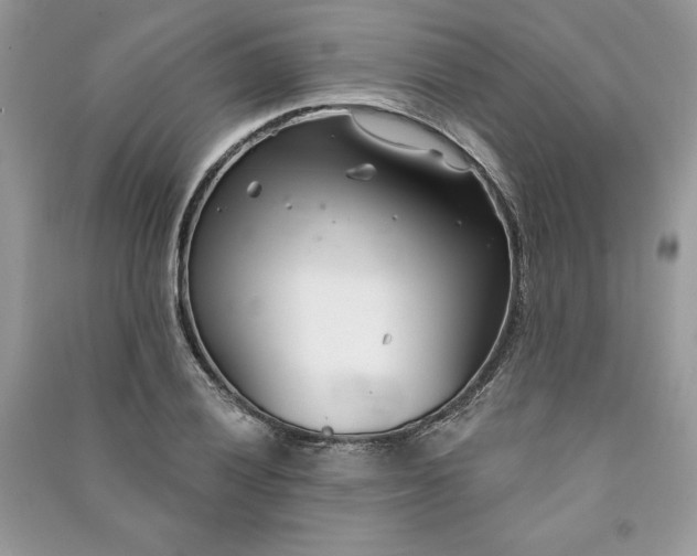 X0000090871028200708101329