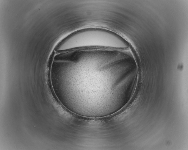 X0000090871029200708101329