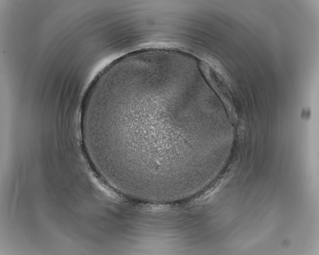 X0000090871030200708101329