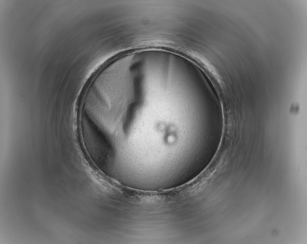 X0000090871031200708101329