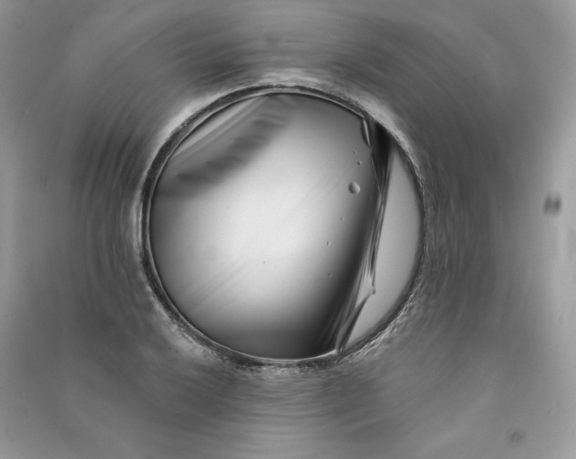 X0000090871032200708101329