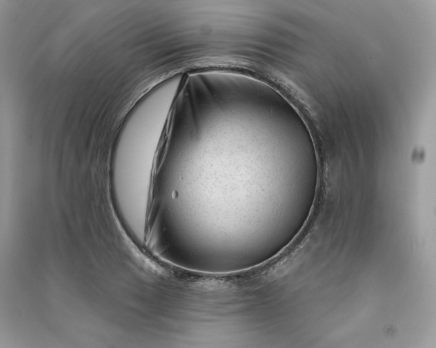 X0000090871033200708101329