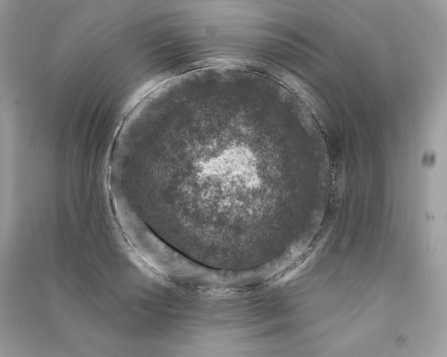 X0000090871034200708101329