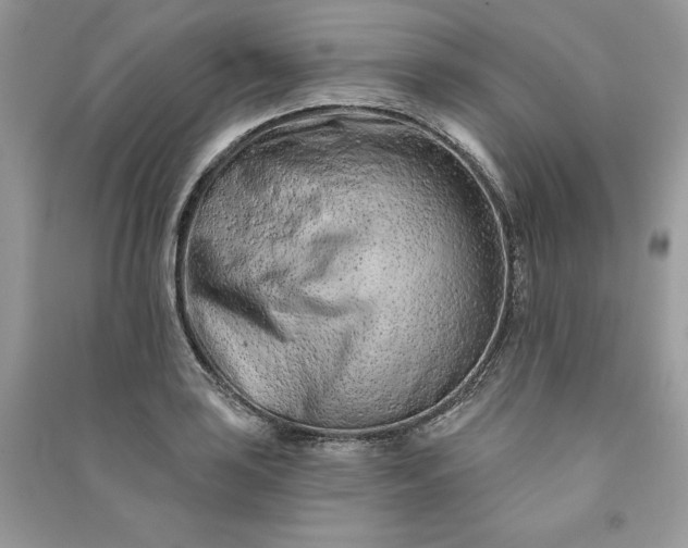 X0000090871035200708101329