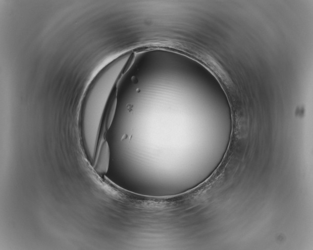 X0000090871036200708101329