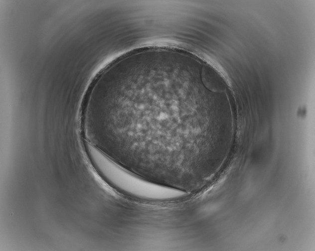 X0000090871037200708101329