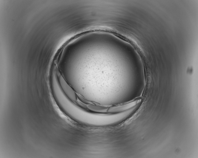 X0000090871038200708101329