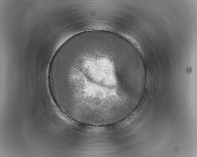 X0000090871039200708101329