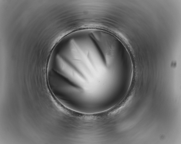 X0000090871041200708101329