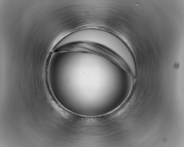 X0000090871042200708101329