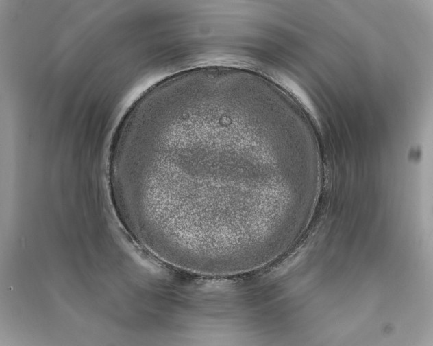 X0000090871043200708101330