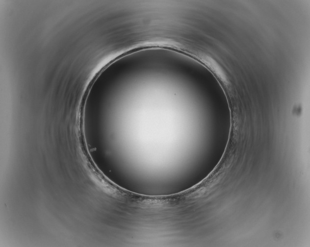 X0000090871044200708101330