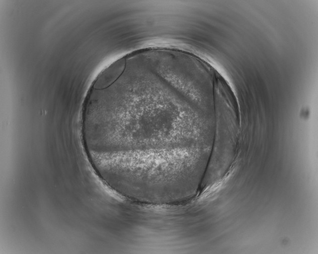 X0000090871045200708101330