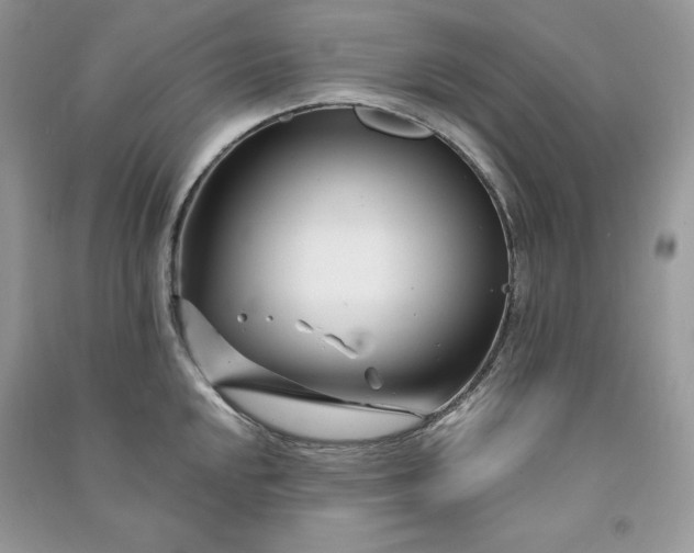 X0000090871048200708101330