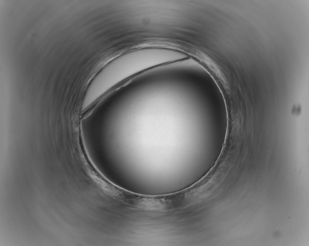 X0000090871049200708101330