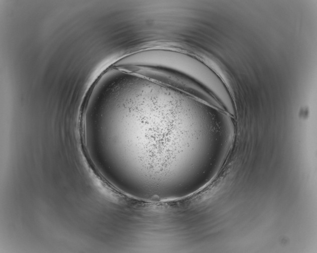 X0000090871050200708101330