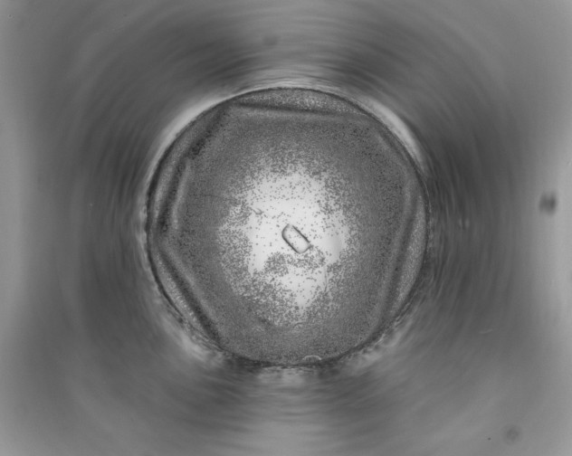 X0000090871051200708101330